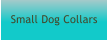 Small Dog Collars