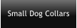 Small Dog Collars